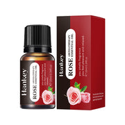 Aromatherapy Oil Water-soluble Humidifier Fire-free Aromatherapy Replenisher